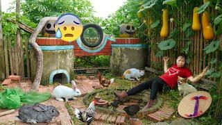 Harvesting Lots of Red Lychees & go Market to Sell – Girl in Danger When Giant Python Escapes!