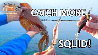 Squid tips you need to know to catch more squid