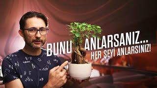 Bunu Anlarsanız Her Şeyi Anlarsınız! Parçacık Fiziğinin Standart Modeli