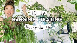 BEST Hanging + Trailing Houseplants Right Now  Top 10 Amazing Plants To Hang and Trail