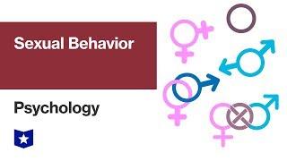 Sexual Behavior | Psychology