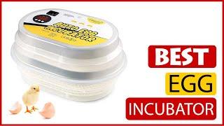  Best Egg Incubator Reviews In 2023  5 Items Tested & Buying Guide
