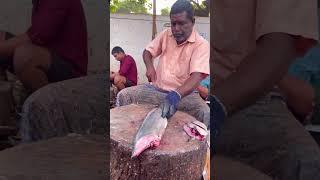 Kasimedu Selvam Fish Cutting Video | UK SONS MARINE