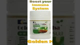 Health Benefits of Kedi Reishi and Golden Hypha