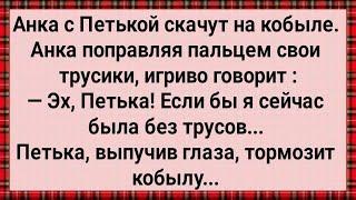 Как Анка с Петькой На Кобыле Скачут! Сборник Свежих Анекдотов! Юмор!