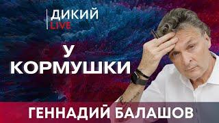 Никогда и ни при каких условиях. Геннадий Балашов. Дикий LIVE.