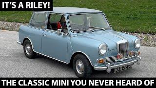 Driving Riley Elf a Luxury Classic Mini