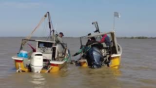 Pesca Artesanal en Punta Indio, Provincia de Buenos Aires