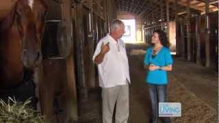 Behind the Scenes of Horse Racing - Prairie Meadows Racetrack & Casino