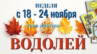 ВОДОЛЕЙ  НЕДЕЛЯ с 18 - 24 НОЯБРЯ 2024 года Таро Прогноз ГОРОСКОП