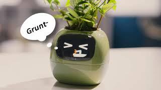 Masdio Ivy - Smart Flowerpots