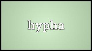 Hypha Meaning