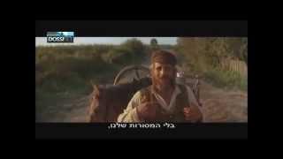 מסורת כנר על הגג