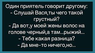 Как Мужик С Бабой Познакомился!Сборник Веселых И Смешных Анекдотов!Юмор!Настроение!