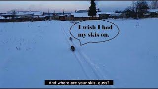 Cats on the Skitrack in Deep Snow