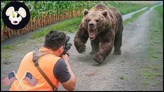 When Bears Attack Crops - Why Florida Farmers Had No Choice But To Hunting | Wild Boar Hunting