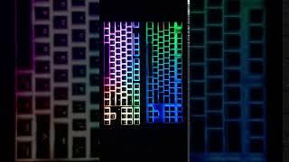 VARMILO VA87M RAINBOW 2 RGB LED PBT 리너어 백축 VS DURGOD K320 NEGULA 저소음적축