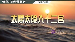 雙星組合, 太陽太陰同坐入12宮►國際紫微學會&大耕老師◄簡單上手斗數命盤