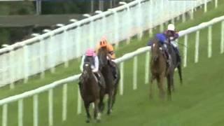 2011 Qipco Sussex Stakes - Frankel vs Canford Cliffs