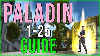 SEAL TWISTING? Beginner Paladin 1-25 Leveling Guide SoD WoW