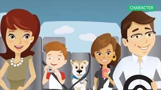 Kinds of explainer videos