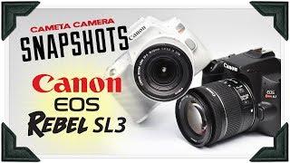 Cameta Camera SNAPSHOTS - Canon EOS Rebel SL3 (250D) Digital SLR Camera