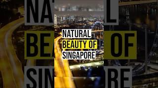 Singapore Travel Tips: Must-See Natural Beauty Spots!