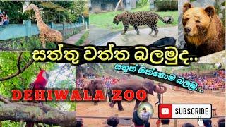 Dehiwala zoo | Zoological Gardens Sri Lanka | දෙහිවල සත්තු වත්ත | 2024.