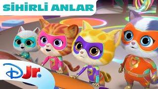  Dinozor kemikleri | Süper Kediler | Disney Kids Türkiye