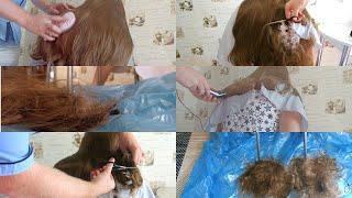 Forced cut very long hair part 2 (trailer)