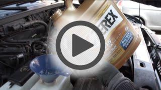 Valvoline Zerex Full Strength Antifreeze and Coolant - Pep Boys