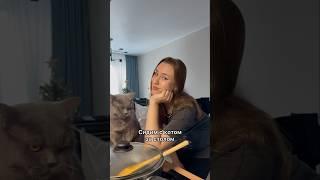 Поправочка, у меня кошка ️