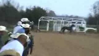 carreras de caballos en arkansas