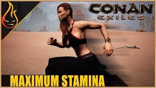 Maximize Your Stamina Conan Exiles 2019