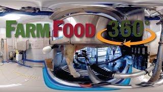 FarmFood360°  - Voluntary Milking System Dairy Farm