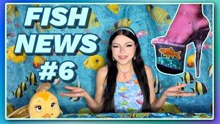 FISH NEWS #6: Lana Fish Heel Gate, Disney’s XMAS Tanks, 2 New Species!