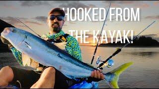 How To Catch A Kingfish from a KAYAK