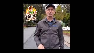 Hi! I'm Zach with Pest Dude!