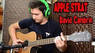 APPLE STRAT-DAVID CAMBRIN(COVER)