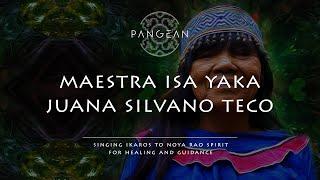 Maestra Juana Isa Yaka - Ikaros to Noya Rao Spirit for Healing and Guidance