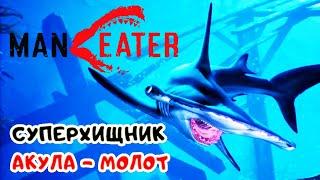 СУПЕРХИЩНИК АКУЛА МОЛОТ  Игра MANEATER 2020● Прохождение #6