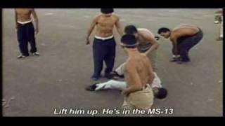 MS13 Fights - Hijos de la Guerra (Children of War) MS-13 Trailer