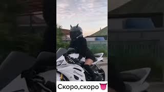 С ветерком, путь на работу утром в понедельник, Hellästi töihin maanantaiaamuna