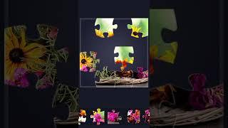 Jigsaw - Bouquet of Different Flowers