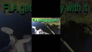 Crappie fishing /speck fishing jigging grass #blessed #fishingvideo #lakelife #sub #crappie #jigging