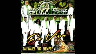 Selva Negra-San Felipe