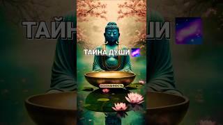 Тайна Души: Осознанность по Ошо... #философия #духовность #осознанность