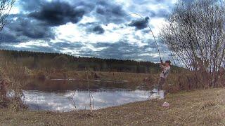 ТАК ДОЛЖНО КЛЕВАТЬ ВСЕГДА. РЫБАЛКА на ДОНКУ и ПОПЛАВОК. Russian fishing