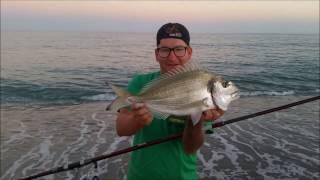 Espinete Dorada surfcasting en el atardecer