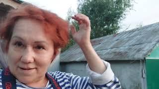 Vlog дачный,покупки магнит и wildberries